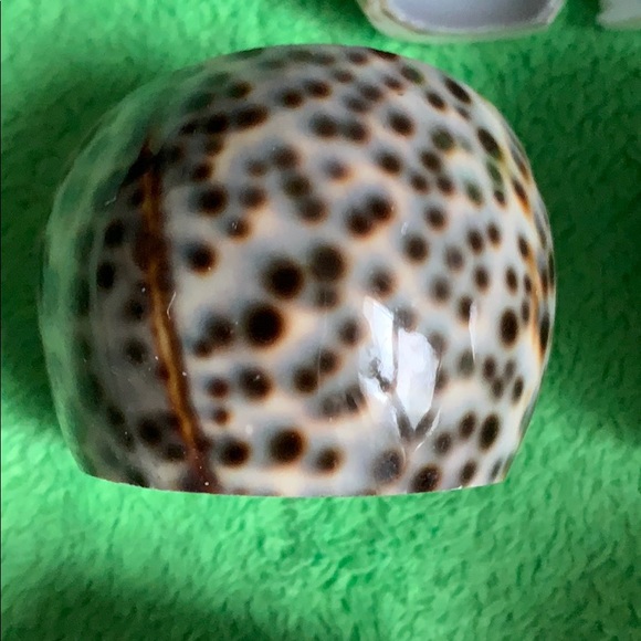 Vintage Seashell set of 7 napkin rings - Picture 5 of 16